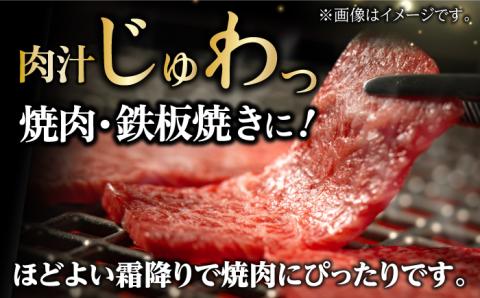 A5ランク 焼肉用 鉄板焼 ウデ みすじ 700g スライス 長崎和牛 【肉のあいかわ】[NA47] 肉 牛肉 赤身 焼肉 バーベキュー BBQ