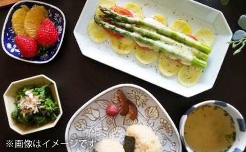 【波佐見焼】八角 プレート S 5枚セット 小皿 小鉢 【和山】 [WB122]