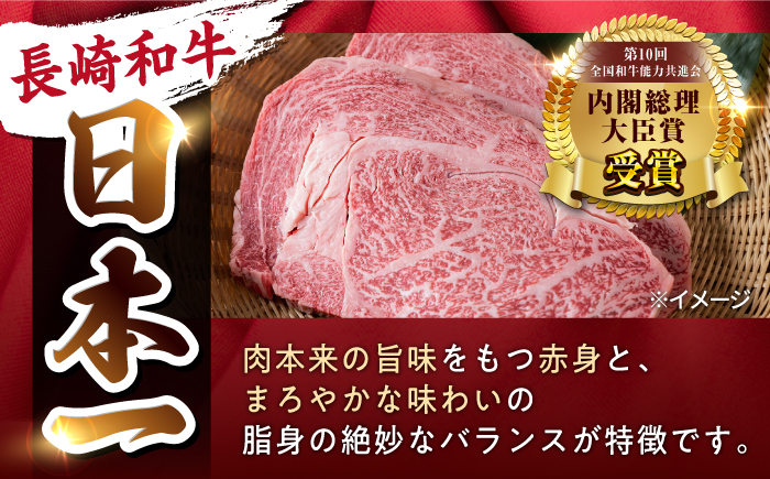 【6回定期便】【日本一の赤身肉】ヒレ ステーキ 長崎和牛（300g/回）【肉のマルシン】 [FG33] 肉 牛肉 赤身 ヒレ ステーキ 焼肉 定期便