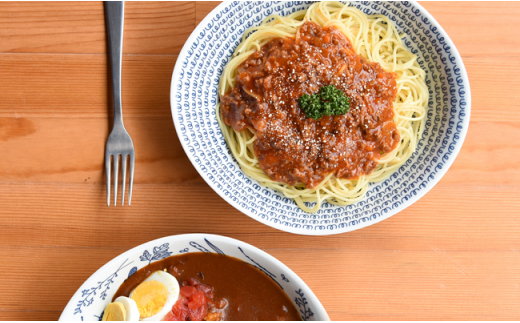 【波佐見焼】natural69カレーパスタ2枚セット ウッズ／ティーズ [QA61]