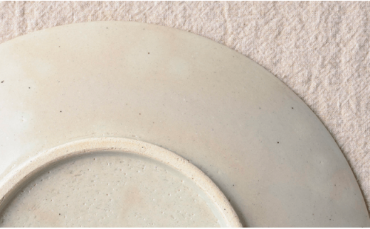 【波佐見焼】染・彫 お皿・盛鉢10点セット ボウル プレート 食器 【利左エ門窯】 [QB16]