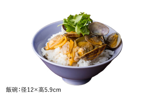 【波佐見焼】紅掛空（べにかけそら）色の波佐見焼 6型セット 小皿 茶碗 小鉢 大皿 【DRESS】 [SD02]