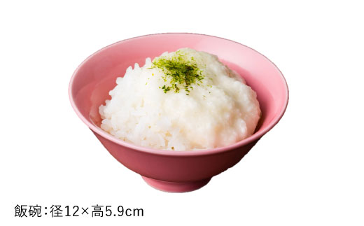 【波佐見焼】一重梅（ひとえうめ）色の波佐見焼 6型セット 小皿 茶碗 小鉢 大皿 【DRESS】 [SD03]