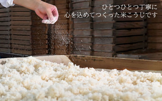 【全3回定期便】手作り生米こうじ400g 5個セット【原味噌本店】 [CA15]