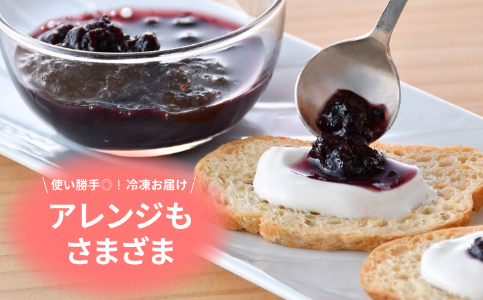 【有機JAS認証】有機ブルーベリー 冷凍 1kg(500g×2袋) 国産 【百笑会】 [DA31]