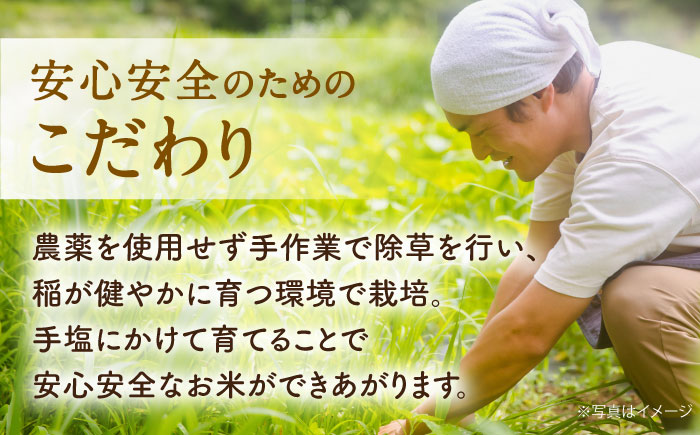 【先行予約 令和8年度新米】【全3回定期便】栽培期間中農薬不使用 農家のおいしいお米 5kg×3回 【浅田峠自然塾】 [EA06]