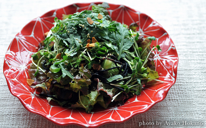 【波佐見焼】ホワイトライン麻 波 プレート L 赤【翔芳窯】 [FE10]