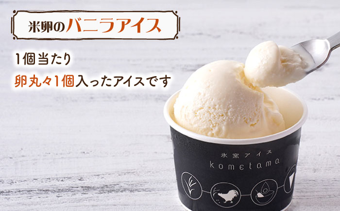 【こだわり濃厚米卵と地元特産フルーツ使用！】こめたまバラエティセット3種9個入り デザート スイーツ お菓子 アイス ギフト  【氷窯アイス こめたま】 [GF02]