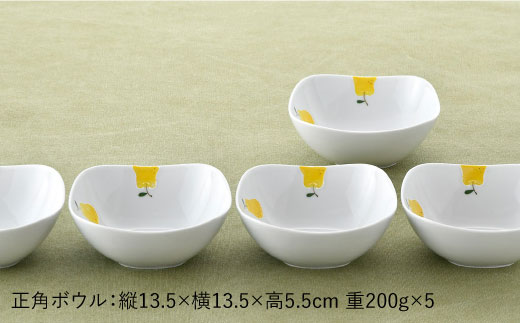 【波佐見焼】ラフランス 正角 ボウル 5点セット【松幸陶芸】 [HB28]
