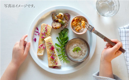 【波佐見焼】teteeat 子供食器 グリーン ボウル プレート 小皿 4点セット 食器 皿 【堀江陶器】 [JD125]