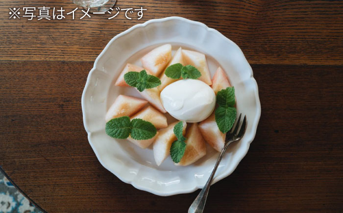 【波佐見焼】花リム プレート 2枚セット【イロドリ】 [KE14]