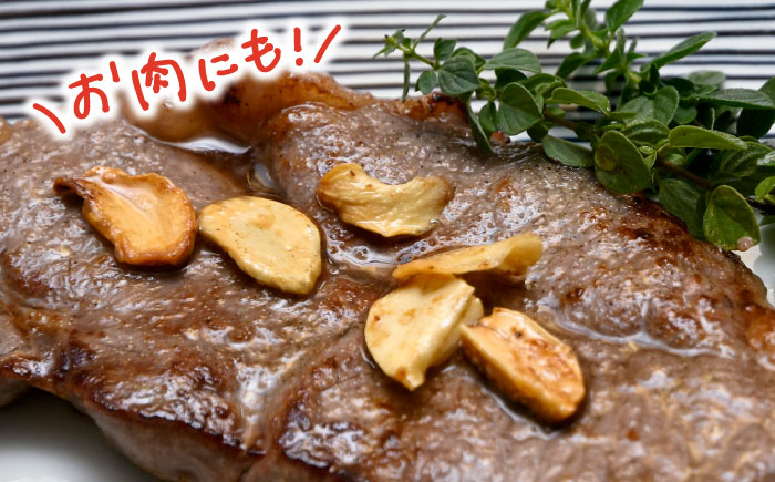 【全6回定期便】にんにく味噌 にんにくチップ フレーク 詰め合わせセット 万能調味料 国産【野下上絵】 [LE16]