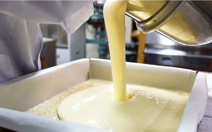 【懐かしい味】カステラ スイーツ お菓子 1斤×2本セット【福田屋本舗】 [LF02]