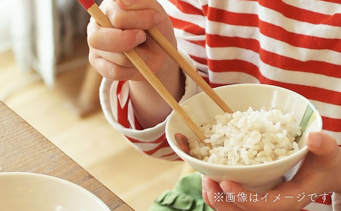 【波佐見焼】こども用食器 3点セット(虫) 【studio wani】 [MB47]