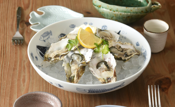 【波佐見焼】cocomarine 盛鉢 1点【natural69】 [QA125]