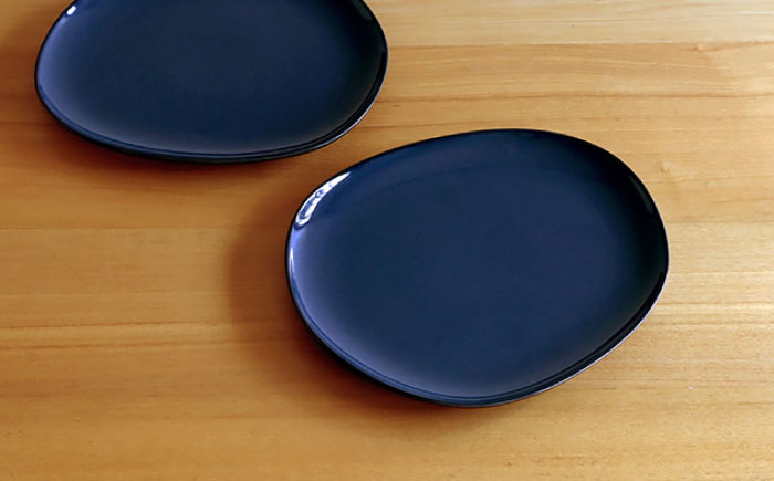 【白山陶器】【グッドデザイン賞受賞】ペトラプレート（L） ネイビー 2枚セット [TA154]