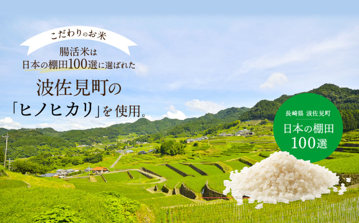 【いつものご飯で腸活！】腸活米 150g×20個セット 令和6年度米【出島トンボロ】 [VD10]