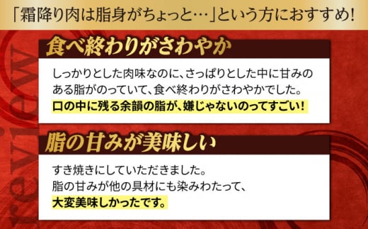 ロース スライス 400g 長崎和牛 A4～A5ランク しゃぶしゃぶ すき焼き【野中精肉店】 [VF07] 肉 牛肉 鍋 霜降り すきやき