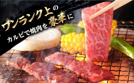 焼肉 上 カルビ 500g 長崎和牛 A4～A5ランク 【野中精肉店】 [VF09]  肉 牛肉 カルビ 焼き肉 キャンプ BBQ バーベキュー