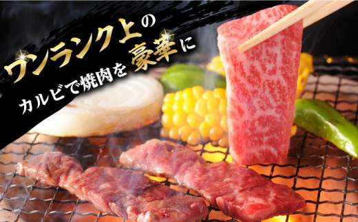 【全3回定期便】焼肉 上 カルビ 500g 長崎和牛 A4～A5ランク 【野中精肉店】 [VF34] 肉 牛肉 カルビ 焼き肉 定期便