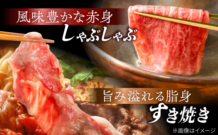 【2026年6月発送】【訳あり】切り落とし 赤身 モモ バラ 1kg  （250g×4P） 【野中精肉店】 [VF41] 肉 牛肉 もも すき焼き しゃぶしゃぶ 訳アリ