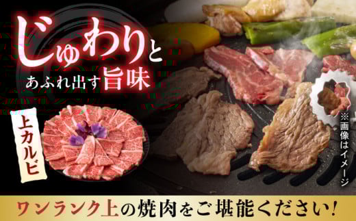 【全12回定期便】【焼き肉満喫セ】モモ 上カルビ 総計900g【野中精肉店】 [VF80] 肉 牛肉 赤身 もも カルビ 焼肉 定期便