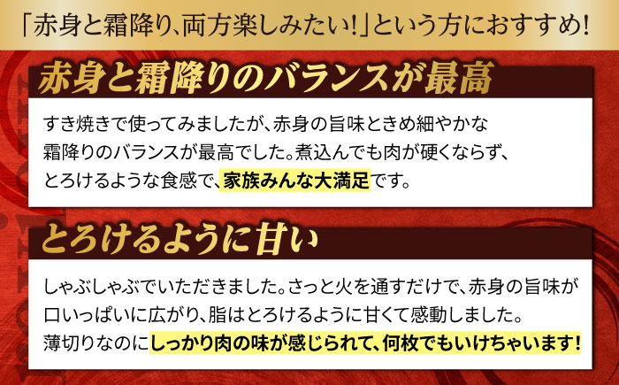【全12回定期便】肩ローススライス 400g 長崎和牛 A4～A5ランク しゃぶしゃぶ すき焼き【野中精肉店】 [VF97]