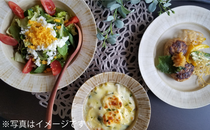 【波佐見焼】Shabby chic style 25cm プレート 2枚セット（senダーク） 食器 皿 【和山】 [WB102]