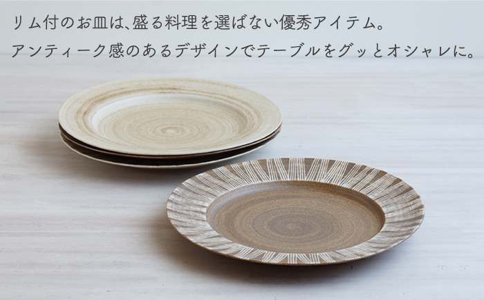 【波佐見焼】Shabby chic style 25cm プレート 2枚セット（senナチュラル） 食器 皿 【和山】 [WB104]