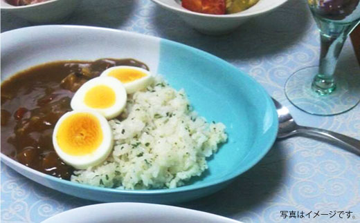 【波佐見焼】ポップなカレー皿と小皿のセット 食器 カレー皿 小皿【和山】 [WB39]