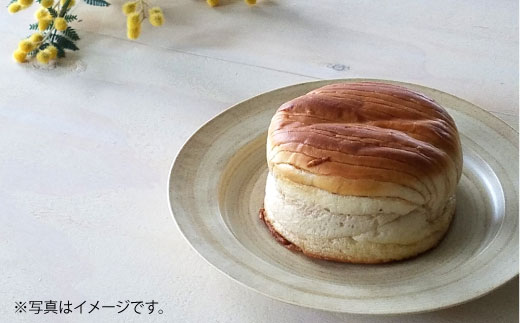 【波佐見焼】Shabby chic style 19cm プレート 4枚セット 食器 皿【和山】 [WB86]