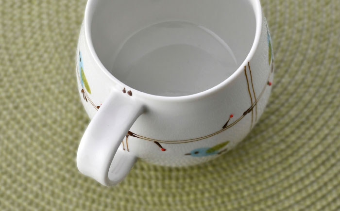 【波佐見焼】ことりの森 マグカップ ペアセット【まるしん】 [WD41]