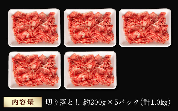 【訳あり】 切り落とし 1.0kg (200g×5)  【夢ファームシュシュ】 [WF20] 肉 牛肉 しゃぶしゃぶ すき焼き 訳アリ ワケあり