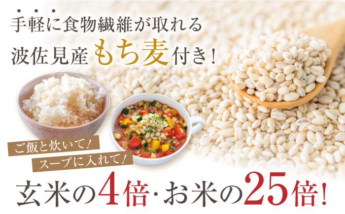 先行予約 令和6年度新米】ヒノヒカリ 白米 5kg もち麦 300g 波佐見町産 セット 米 お米【冨永米穀店】 [ZF01]: 波佐見町 ANAのふるさと納税