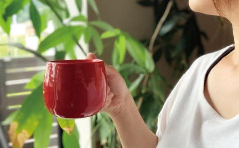 【波佐見焼】マグカップ 2色セット （織部・伊羅保）【ROXY】 [SB116]