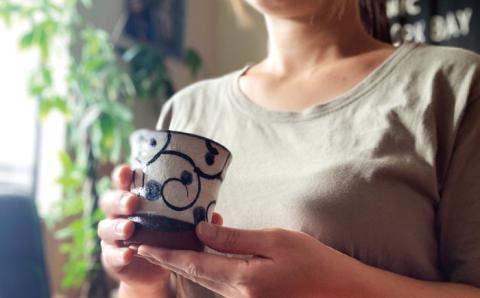 【波佐見焼】フリーコップ モダン 唐草 ペアセット カップ 【ROXY・HASAMI】 [SB125]