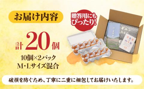 【食で健康に！】アルギニン元気たまご 20個お届け 自然栽培 【浅田峠自然塾】 [EA01]