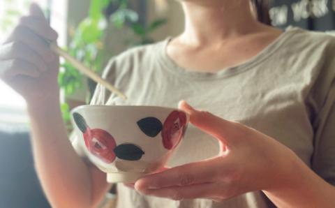 【波佐見焼】茶碗 ペアセット モダン ローズ 【ROXY】 [SB114]