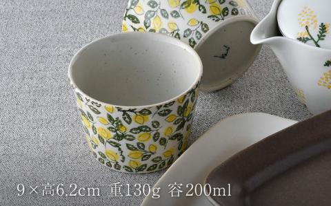 NB 116【波佐見焼】大人気の波佐見焼オリジナルセットアップ商品 食器 皿【大貴セラミックス/団陶器】 [NB116]