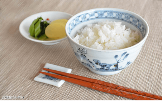 【波佐見焼】DINOSAUR 茶碗 ペアセット【studiowani】 [MB02]