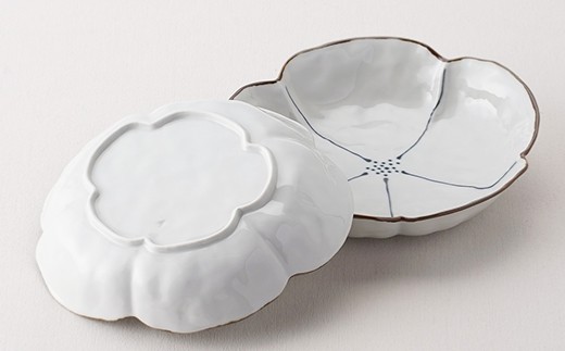 【波佐見焼】急須 深皿 含む オリジナルセットアップ商品【不二商店/協立陶器】 [NB38]