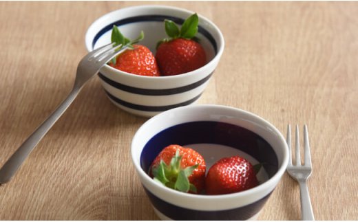 【波佐見焼】ボーダーボーダー ボウル M 5柄セット【natural69】 [QA49]