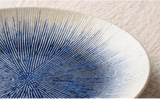 【波佐見焼】染・彫 お皿・盛鉢10点セット ボウル プレート 食器 【利左エ門窯】 [QB16]