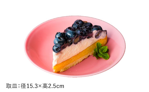 【波佐見焼】一重梅（ひとえうめ）色の波佐見焼 6型セット 小皿 茶碗 小鉢 大皿 【DRESS】 [SD03]