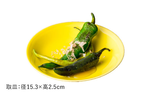 【波佐見焼】黄蘗色（きはだ）色の波佐見焼 6型セット 小皿 茶碗 小鉢 大皿 【DRESS】 [SD04]