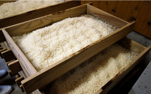 【全3回定期便】麹味噌（2キロ）と波佐見町産米（9合）セット【原味噌本店】 [CA13]