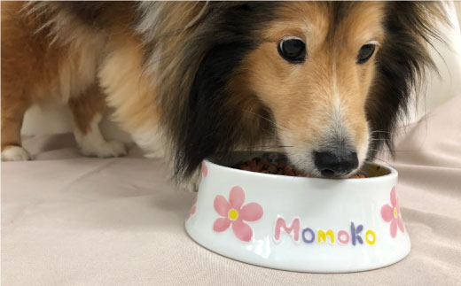 【波佐見焼】ペット フードボウル（可愛いお花柄） 食器 皿 【名入れ可能】 食器 皿 【大新窯】 [DC34]