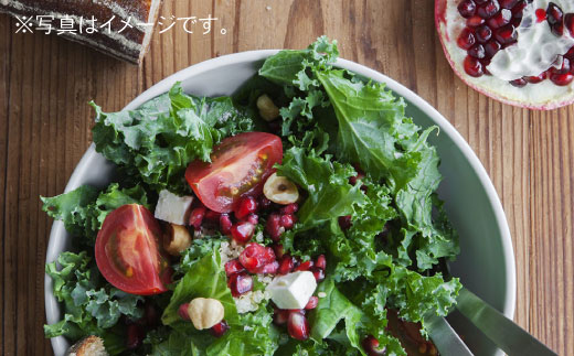 【波佐見ブランド/Common】ボウル 12cm ネイビー 5個セット【東京西海】 [DD121]