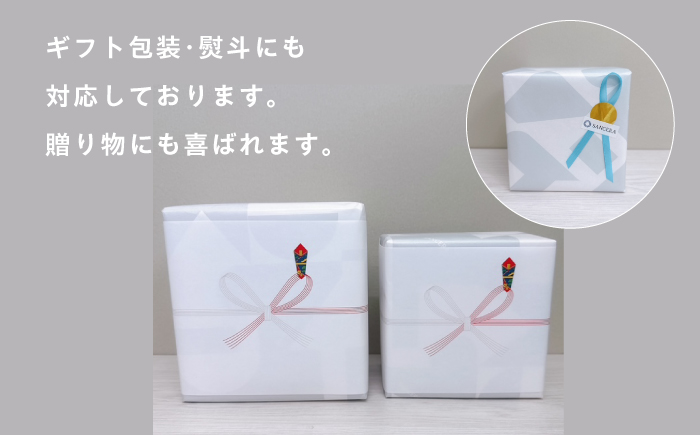 【波佐見焼】セラミックコーヒーフィルター 富士山 緑 【燦セラ】[DF37]