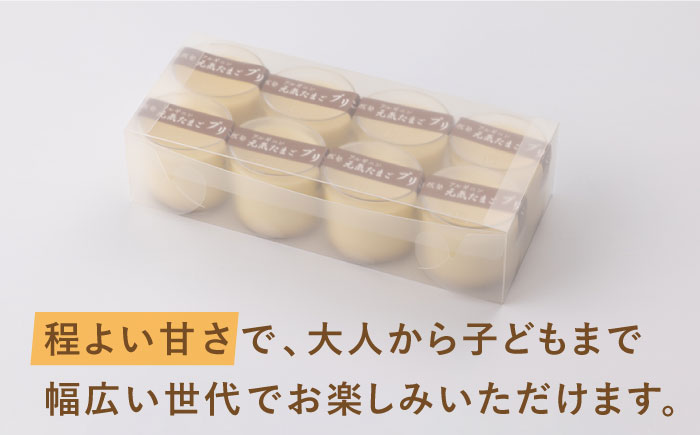 【アルギニンたっぷり栄養満点！】なめらか 濃厚 卵プリン 8個セット【浅田峠自然塾】 [EA15]
